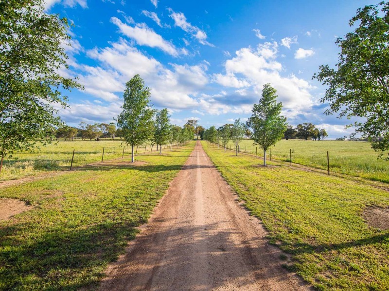 285 Botobolar Road, Mudgee NSW 2850