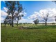285 Botobolar Road, Mudgee NSW 2850