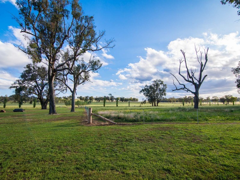 285 Botobolar Road, Mudgee NSW 2850