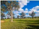 285 Botobolar Road, Mudgee NSW 2850