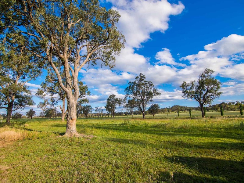 285 Botobolar Road, Mudgee NSW 2850