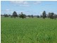 3099 McGrane Way, Narromine NSW 2821