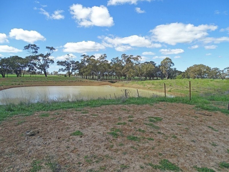 3099 McGrane Way, Narromine NSW 2821