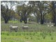 3099 McGrane Way, Narromine NSW 2821