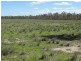 3099 McGrane Way, Narromine NSW 2821
