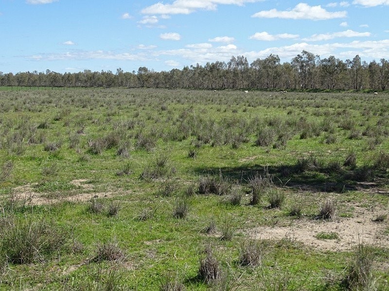 3099 McGrane Way, Narromine NSW 2821