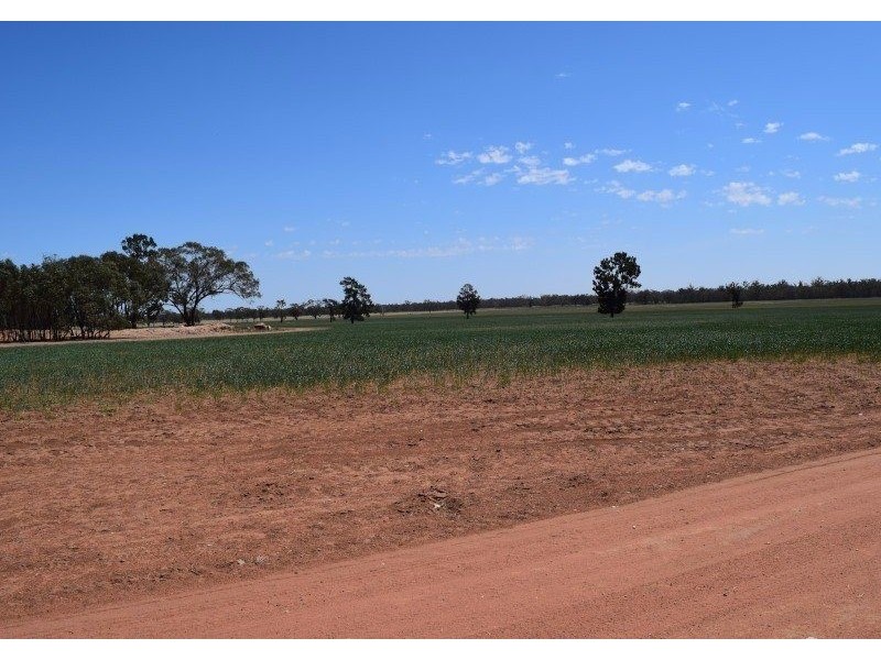 3099 McGrane Way, Narromine NSW 2821