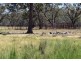 3099 McGrane Way, Narromine NSW 2821