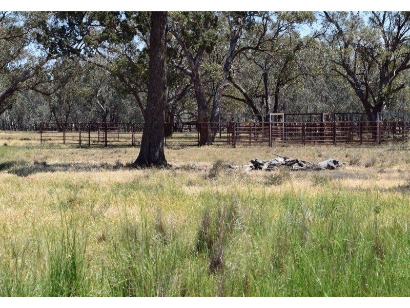 3099 McGrane Way, Narromine NSW 2821