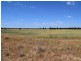 3099 McGrane Way, Narromine NSW 2821