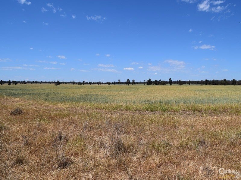 3099 McGrane Way, Narromine NSW 2821