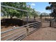 3099 McGrane Way, Narromine NSW 2821