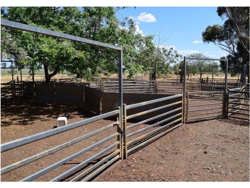 3099 McGrane Way, Narromine NSW 2821