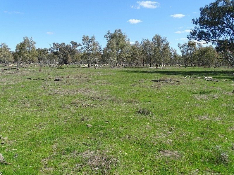 3099 McGrane Way, Narromine NSW 2821