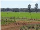 3099 McGrane Way, Narromine NSW 2821
