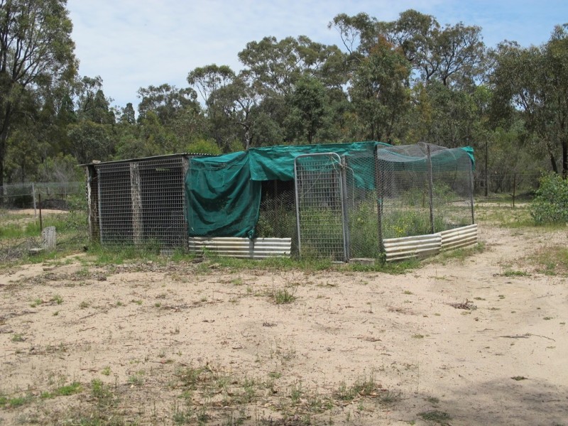 141 Maiala Road, Mudgee NSW 2850