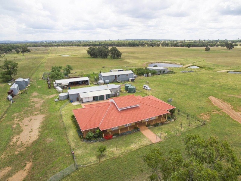 305 Blue Springs Road, Gulgong NSW 2852