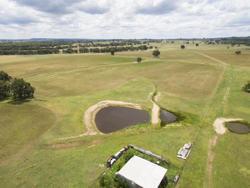 305 Blue Springs Road, Gulgong NSW 2852