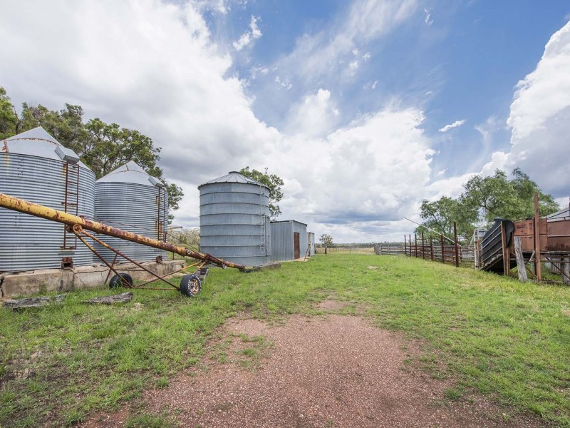 305 Blue Springs Road, Gulgong NSW 2852