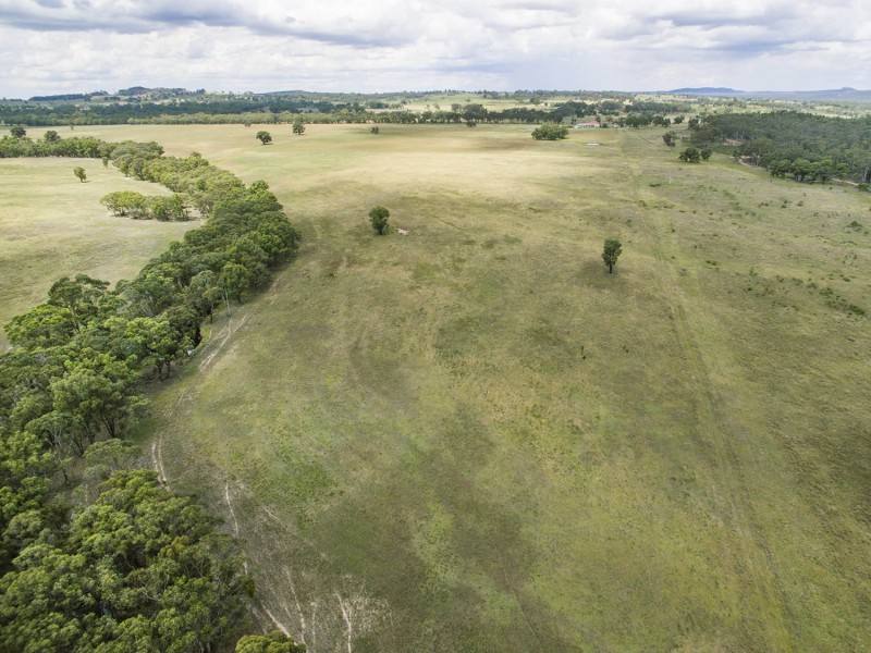 305 Blue Springs Road, Gulgong NSW 2852