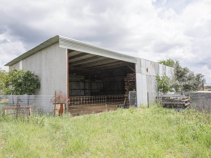 305 Blue Springs Road, Gulgong NSW 2852