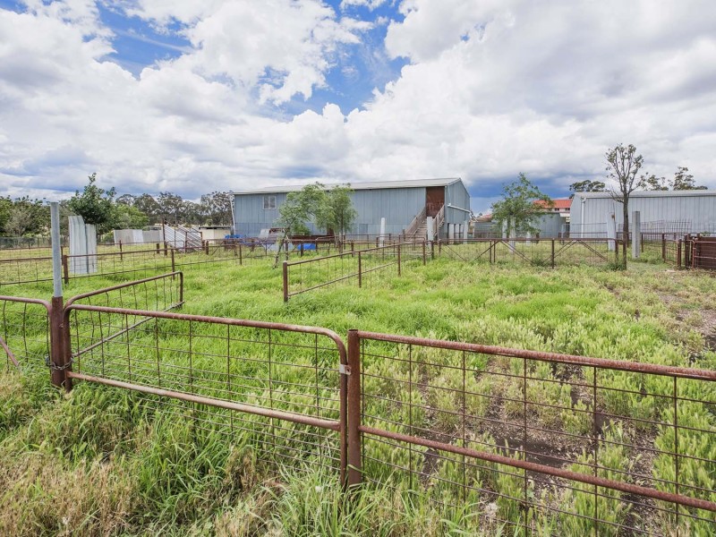 305 Blue Springs Road, Gulgong NSW 2852