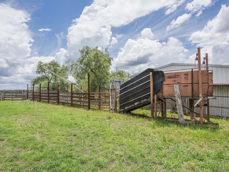 305 Blue Springs Road, Gulgong NSW 2852