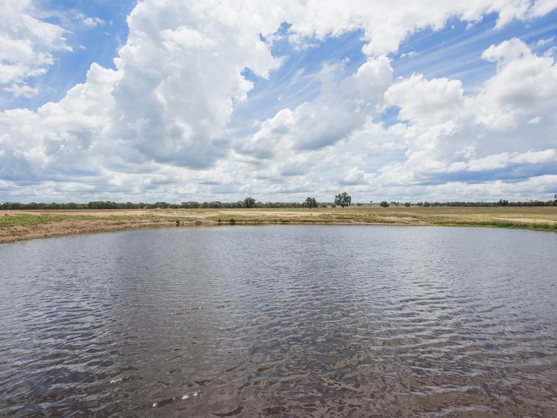 305 Blue Springs Road, Gulgong NSW 2852