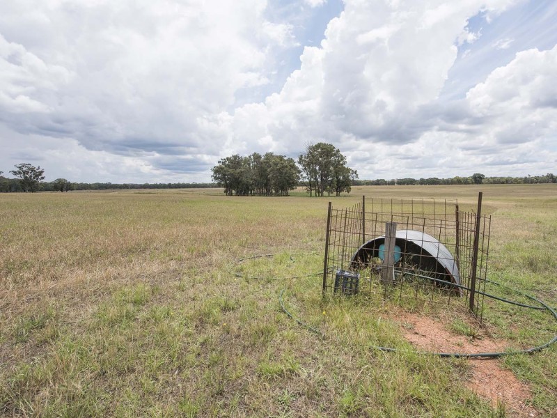 305 Blue Springs Road, Gulgong NSW 2852