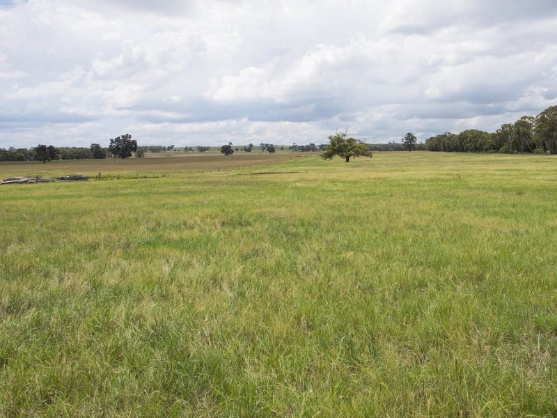 305 Blue Springs Road, Gulgong NSW 2852