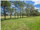 120 Rocky Waterhole Road, Mudgee NSW 2850