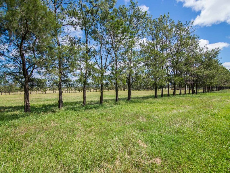 120 Rocky Waterhole Road, Mudgee NSW 2850