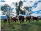 680 Castlereagh Highway, Mudgee NSW 2850