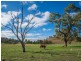 680 Castlereagh Highway, Mudgee NSW 2850