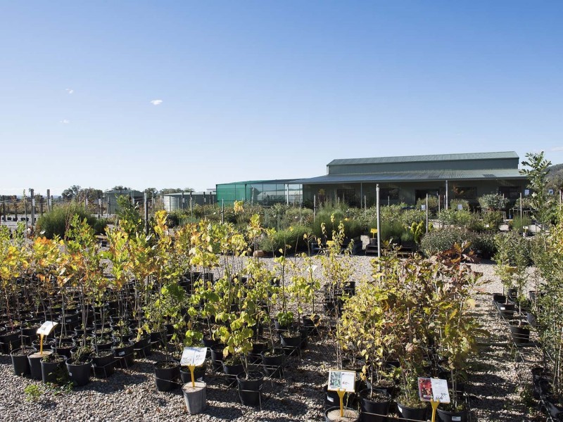 243 Castlereagh Hwy, Mudgee NSW 2850