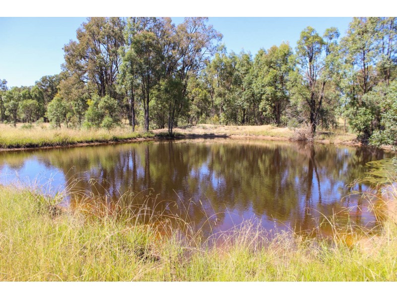 5 Wyoming Lane, Gulgong NSW 2852