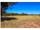5 Wyoming Lane, Gulgong NSW 2852