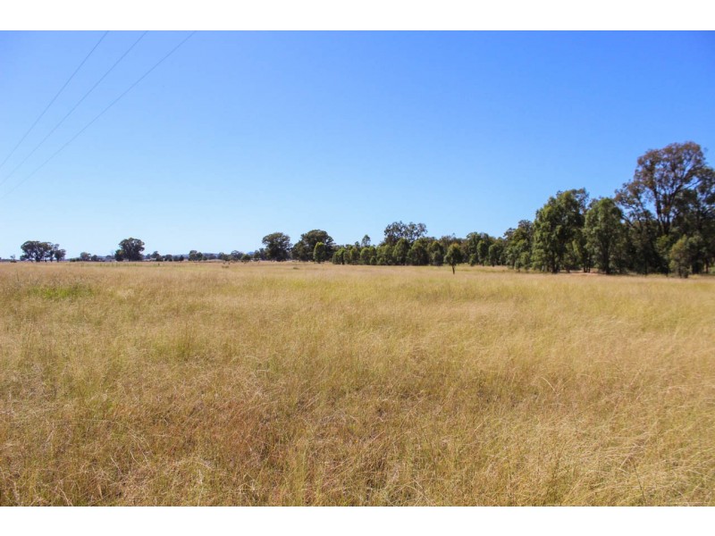 5 Wyoming Lane, Gulgong NSW 2852