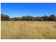 5 Wyoming Lane, Gulgong NSW 2852