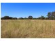 5 Wyoming Lane, Gulgong NSW 2852