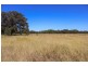 5 Wyoming Lane, Gulgong NSW 2852