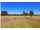 5 Wyoming Lane, Gulgong NSW 2852