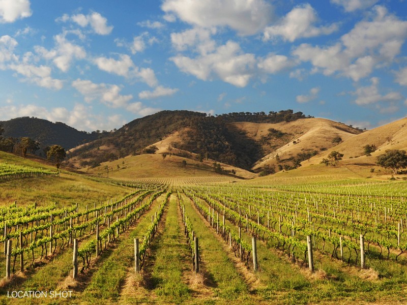 Caerleon Estate, Mudgee NSW 2850