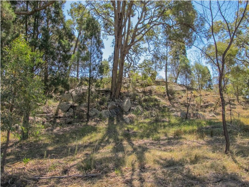480 Ridge Road, Cooks Gap NSW 2850