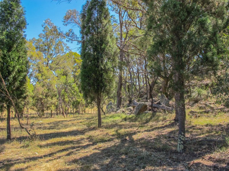 480 Ridge Road, Cooks Gap NSW 2850
