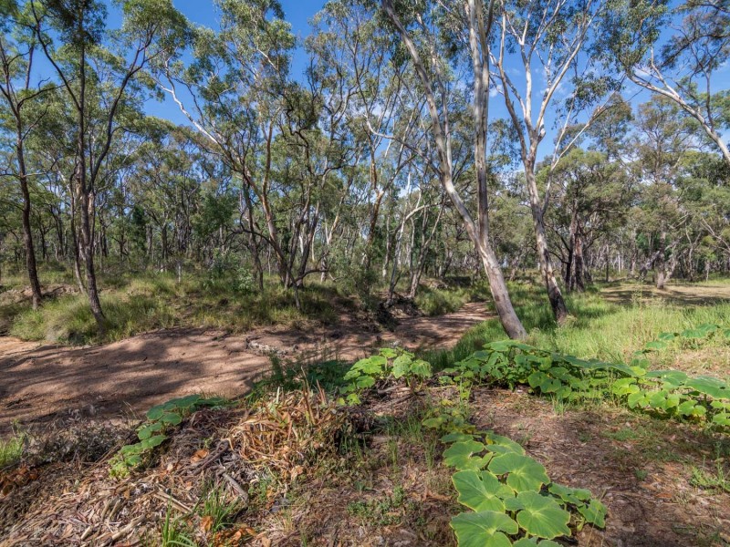 1386 Cope Road, Gulgong NSW 2852