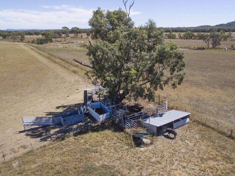 151 Wattlegrove Lane, Mudgee NSW 2850