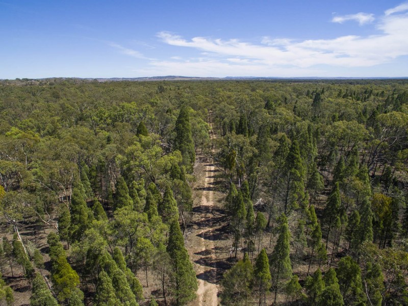 151 Wattlegrove Lane, Mudgee NSW 2850