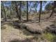 151 Wattlegrove Lane, Mudgee NSW 2850