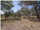 151 Wattlegrove Lane, Mudgee NSW 2850
